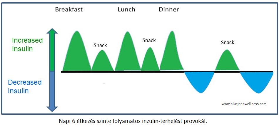inzulin típusú diabetes mellitus kezelésére diagramok)