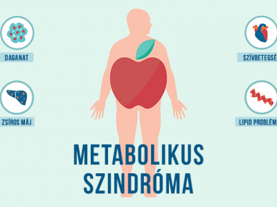 Metabolikus szindróma: a bőség pusztító oldala.
