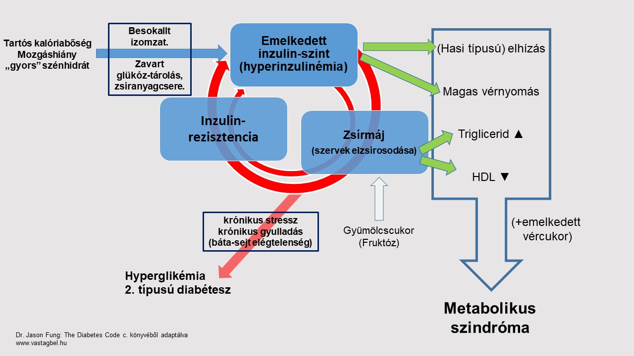 Inzulinrezisztencia, mely a cukorbetegség előszobája lehet | pontplaza.hu