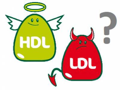 Mi az a koleszterin (és lipid)?